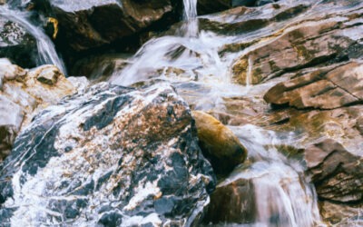 La gestion de l’eau dans un gîte écologique