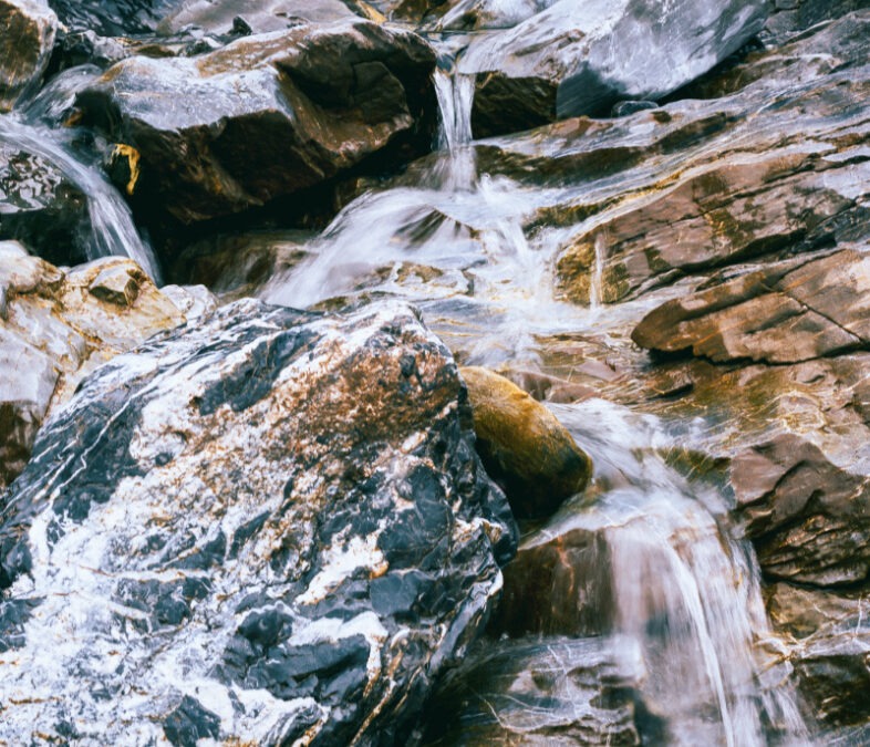 La gestion de l’eau dans un gîte écologique