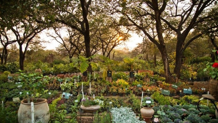jardin
