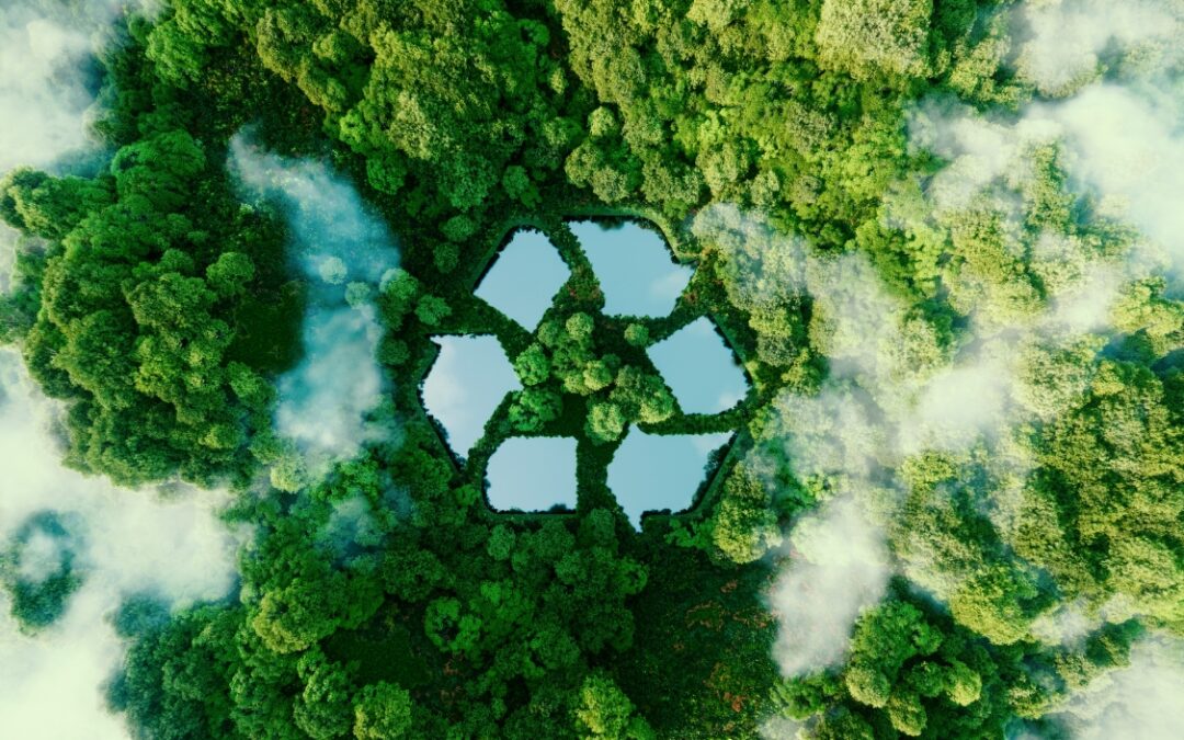 gîte écologique en pleine nature