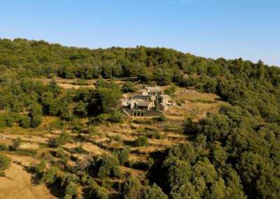 gîte en plein nature dans les Cévennes