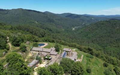 Que faire autour du Domaine Le Verdier ?